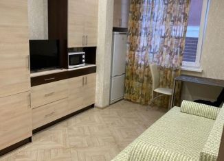 Сдаю в аренду квартиру студию, 24 м2, Севастополь, улица Челнокова, 17к1, ЖК Олимпия