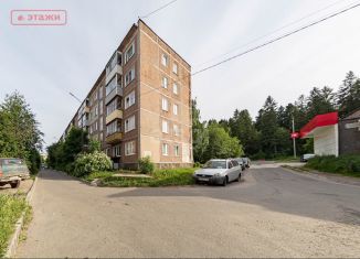 Продается 1-ком. квартира, 30 м2, Карелия, улица Репникова, 23