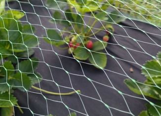 Продается земельный участок, 5 сот., Кинешма