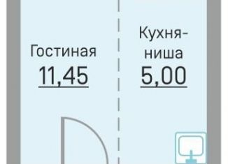 Продам квартиру студию, 27.4 м2, Пермский край, Водопроводная улица, 6/4