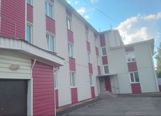 2-комнатная квартира на продажу, 47 м2, Нижегородская область, Больничная улица, 47А