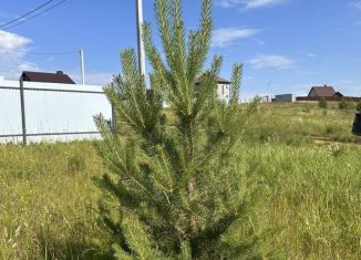 Продается участок, 11 сот., деревня Старое Мартьяново, Яблоневая улица