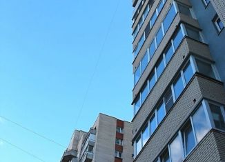 Продажа двухкомнатной квартиры, 61.5 м2, Санкт-Петербург, Выборгское шоссе, 27к3, муниципальный округ Шувалово-Озерки