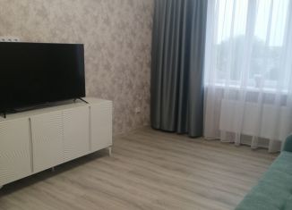 Аренда 1-ком. квартиры, 44 м2, Таганрог, Парковый переулок, 4