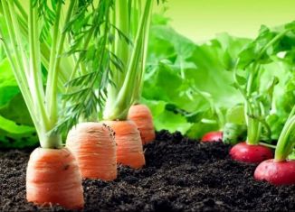 Продам земельный участок, 6 сот., Липецк, 54-я линия