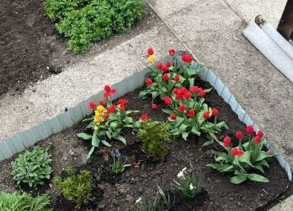 Продаю участок, 20 сот., село Чистопольские Выселки