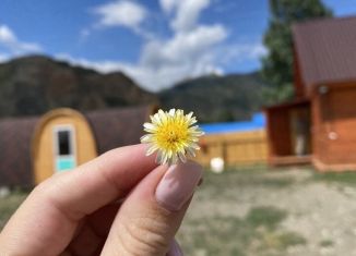 Сдам в аренду дом, 18 м2, село Чаган-Узун