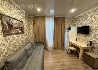 Аренда квартиры студии, 20 м2, Тобольск, 15-й микрорайон, 37