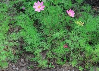 Участок на продажу, 5 сот., Богородицк, Железнодорожная улица