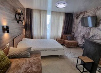 Квартира в аренду студия, 30 м2, Люберцы, Солнечная улица, 2