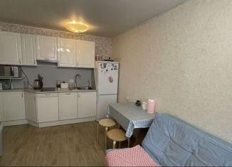 1-комнатная квартира в аренду, 40 м2, Ленинградская область, Промышленная улица, 2