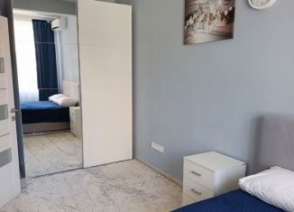 Сдача в аренду 2-комнатной квартиры, 45 м2, Сочи, Троицкая улица, 31/2, микрорайон Голубые Дали