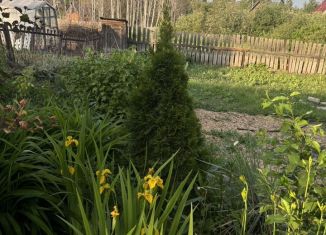 Продаю дачу, 20 м2, Курган, СНТ Связист, 14