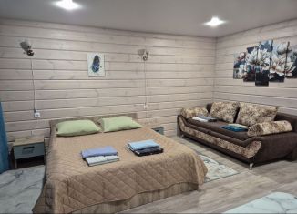 Сдам дом, 28 м2, село Элекмонар, Восточная улица, 57