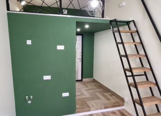 Продам квартиру студию, 22 м2, Санкт-Петербург, Василеостровский район, 14-я линия Васильевского острова, 89