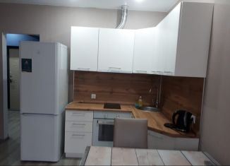 Сдаю в аренду квартиру студию, 40 м2, Сочи, Дагомысский переулок, 18, микрорайон Ареда