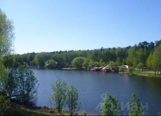 Продаю дом, 136 м2, деревня Сорокино, СНТ Звёздочка, 178