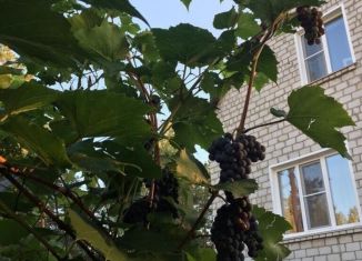 Дом на продажу, 360 м2, поселок Станция Ребриха, 01К-88