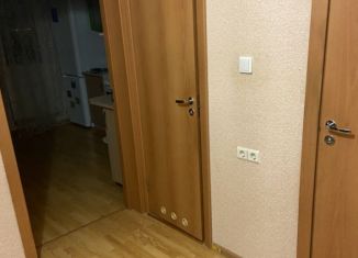 Сдается 1-комнатная квартира, 38 м2, Белгородская область, улица Макаренко, 24