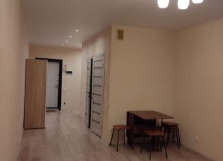 1-комнатная квартира в аренду, 35 м2, деревня Целеево, улица Пятиречье, 4Б