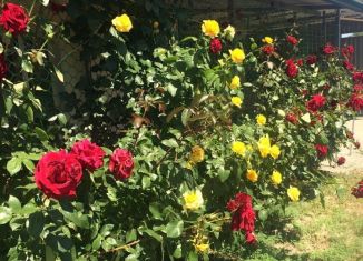 Продажа дома, 60 м2, село Воробьёвка