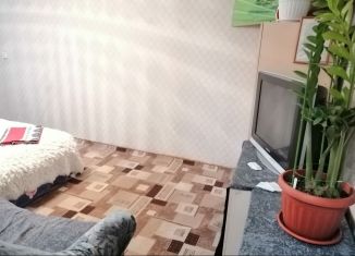 1-комнатная квартира в аренду, 29 м2, Челябинск, улица Дзержинского, 97А, Ленинский район