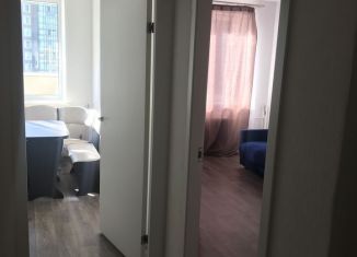 Сдается 1-комнатная квартира, 32 м2, поселок Бугры, Воронцовский бульвар, 5к4, ЖК Мурино 2019