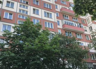 Сдаю 2-комнатную квартиру, 51 м2, Санкт-Петербург, Бестужевская улица, муниципальный округ Финляндский