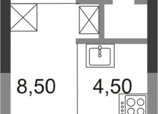 Продается квартира студия, 19.5 м2, Балашиха