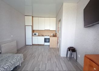 Продажа 1-комнатной квартиры, 35 м2, Уфа, улица Даяна Мурзина, 11, ЖК Цветы Башкирии