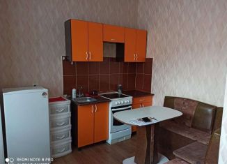 Однокомнатная квартира в аренду, 30 м2, Иркутская область, микрорайон Берёзовый, 23