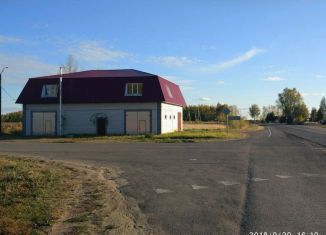 Продажа помещения свободного назначения, 546 м2, село Красные Четаи, Придорожная улица, 100