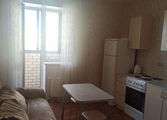 2-комнатная квартира в аренду, 65 м2, Челябинск, улица Агалакова, 62, ЖК Ленинские высотки