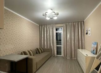 Квартира в аренду студия, 23.3 м2, Новосибирская область, улица Костычева, 36