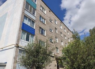 Продается 1-комнатная квартира, 34 м2, село Серафимовский, Покровская улица, 3