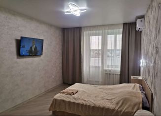 Сдача в аренду 1-комнатной квартиры, 41.2 м2, Тамбовская область, Селезнёвская улица, 2Бк4