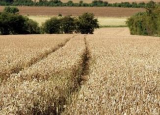 Продажа земельного участка, 1184 сот., село Луговое, Степная улица