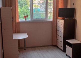 Продажа однокомнатной квартиры, 32.5 м2, село Орёл-Изумруд, Петрозаводская улица, 24/1