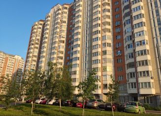 Продажа трехкомнатной квартиры, 24 м2, Москва, улица Недорубова, 15, район Некрасовка