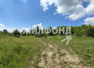 Продается земельный участок, 17 сот., село Кубовая, Клубная улица