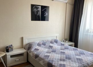 1-комнатная квартира в аренду, 36 м2, Ставрополь, проспект Кулакова, 67, микрорайон № 18
