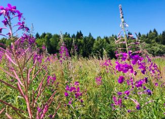 Продажа земельного участка, 6 сот., деревня Еремеево