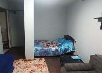 Аренда 1-ком. квартиры, 30.1 м2, Сарапул, улица Седельникова, 146