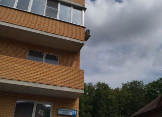 Продажа 2-комнатной квартиры, 52 м2, деревня Бородино, Варшавское шоссе, 78, ЖК Европа