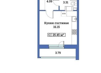 Квартира на продажу студия, 25.5 м2, Мурино, ЖК Урбанист, Ручьёвский проспект, 6