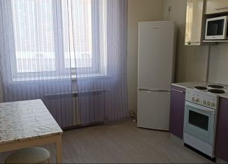Сдам однокомнатную квартиру, 37 м2, Новосибирск, Плановая улица, 50, Заельцовский район