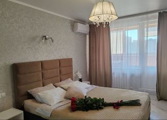 Сдается в аренду двухкомнатная квартира, 50 м2, Алтайский край, Сиреневая улица, 30