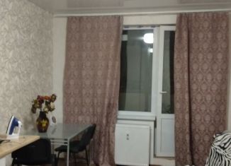 Квартира в аренду студия, 25 м2, Санкт-Петербург, Плесецкая улица, 10, муниципальный округ Юнтолово