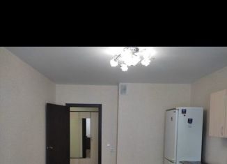 Сдача в аренду квартиры студии, 30 м2, Ростов-на-Дону, ЖК Платовский, улица Тимофеева, 14к1