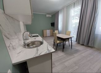 Квартира в аренду студия, 35 м2, Алупка, Ялтинская улица, 27Ж